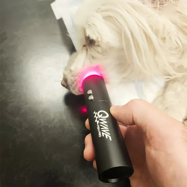 QWave PBM Vet PRO LED Torch blått rødt infrarødt til dyr