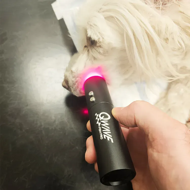 QWave PBM Vet PRO LED Torch blått rødt infrarødt til dyr